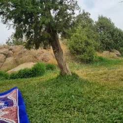 Al Bashayer Community Park - Al Bashayer