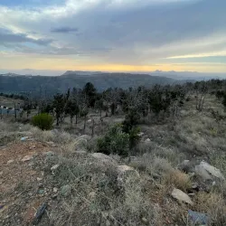 Al Bashayer Community Park - Al Bashayer