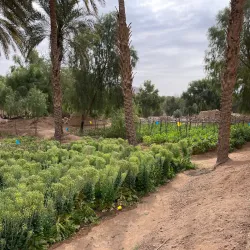 Al Bashayer Heritage Trail - Al Bashayer