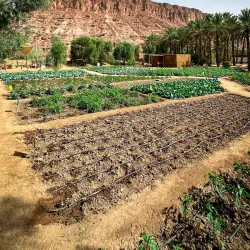 Al Bashayer Heritage Trail - Al Bashayer