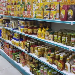 Al Duwadimi Date Farms - Al Duwadimi (Ad Dawadmi)