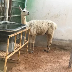 Al Kharj Agricultural Fields - AL Kharj