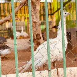 Al Kharj Agricultural Fields - AL Kharj