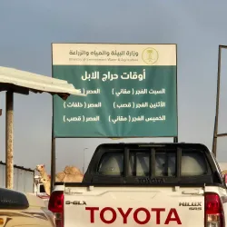 Al Kharj Camel Market - AL Kharj