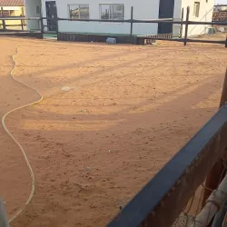 Al Kharj Camel Market - AL Kharj