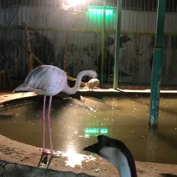 Al Kharj Museum - AL Kharj