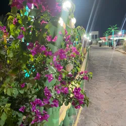 Al Kharj Museum - AL Kharj