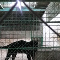 Al Kharj Museum - AL Kharj