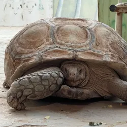 Al Kharj Museum - AL Kharj