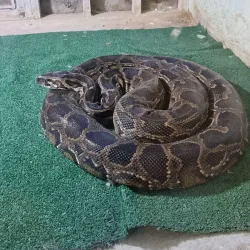 Al Kharj Museum - AL Kharj