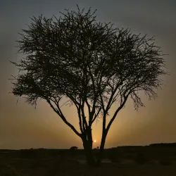 Al Kharj Park - AL Kharj