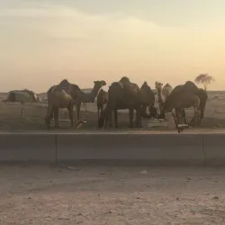 Al Kharj Park - AL Kharj