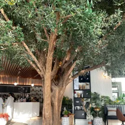 Corniche Park - Al Khobar