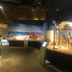 Scitech Technology Center - Al Khobar