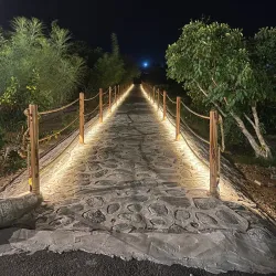 Agricultural Farms - Al Makhwah