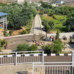 Agricultural Farms - Al Makhwah