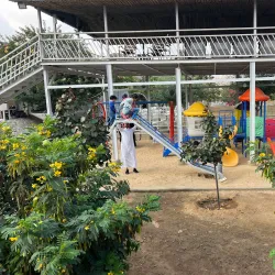 Agricultural Farms - Al Makhwah