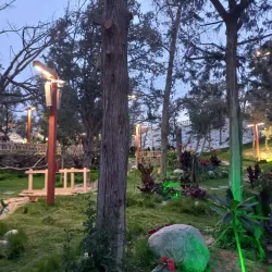 Al Bahah Forests - Al Makhwah