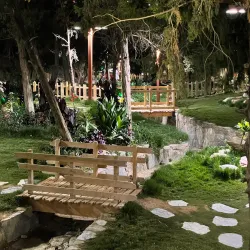 Al Bahah Forests - Al Makhwah