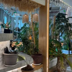 Local Coffee Shops and Eateries - Al Makhwah