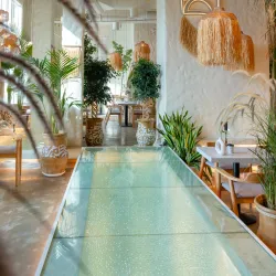 Local Coffee Shops and Eateries - Al Makhwah