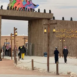 Local Cultural Festivals - Al Makhwah