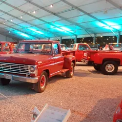 Local Cultural Festivals - Al Makhwah