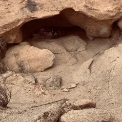 Scenic Lookout Points - Al Makhwah