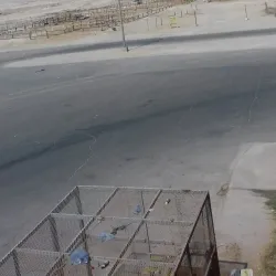 Al Mubarraz Camel Market - Al Mubarraz