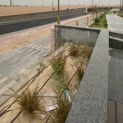 Al Mubarraz Park - Al Mubarraz