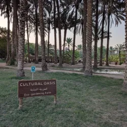Al-'Ula Oasis - Al-'Ula (Al Ula