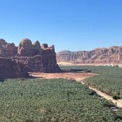 Al-'Ula Oasis - Al-'Ula (Al Ula