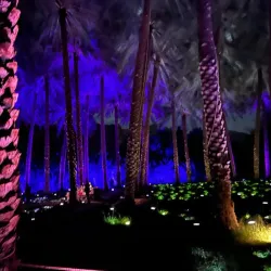 Al-'Ula Oasis - Al-'Ula (Al Ula