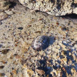 Al Wajh Beach - Al Wajh