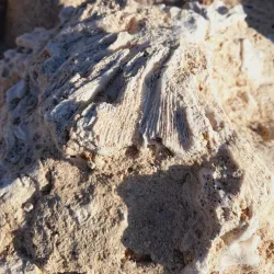 Al Wajh Beach - Al Wajh