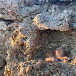 Al Wajh Beach - Al Wajh