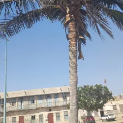 Al Wajh Corniche - Al Wajh