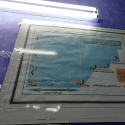 Al Wajh Diving Sites - Al Wajh
