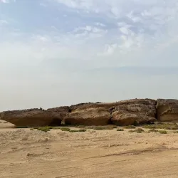 Mangrove Forests near Al Wajh - Al Wajh