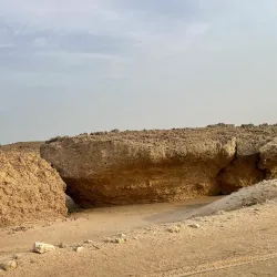 Mangrove Forests near Al Wajh - Al Wajh