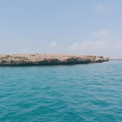 Mangrove Forests near Al Wajh - Al Wajh