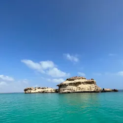 Mangrove Forests near Al Wajh - Al Wajh