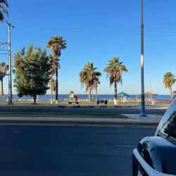 Red Sea Coral Reefs - Al Wajh