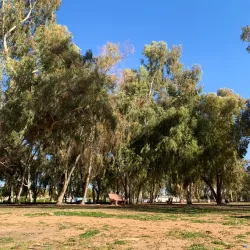 Al Nakheel Park - Arar