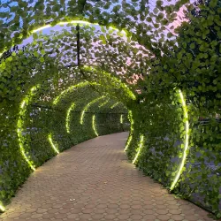 Al Katibah Fortress - At Ta'if