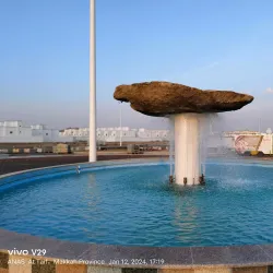 At Ta'if Rose Gardens - At Ta'if