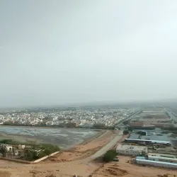 Al Zulfi Camel Market - Az Zulfi