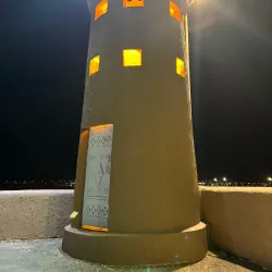 Al Zulfi Camel Market - Az Zulfi