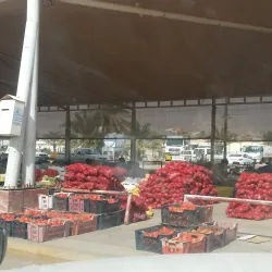 Al Zulfi Date Market - Az Zulfi