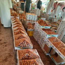Al Zulfi Date Market - Az Zulfi